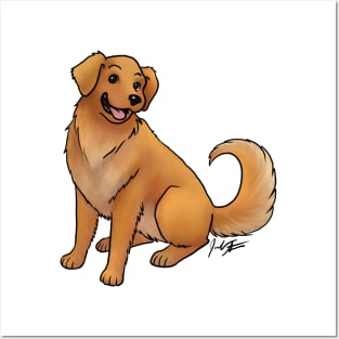 Dog - Golden Retriever - Red Gold Posters and Art